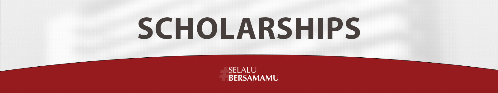 Scholarship Programs banner